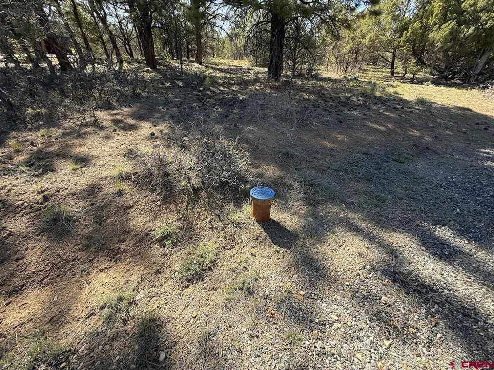 5 Cottontail Lane Ridgway, CO 81432