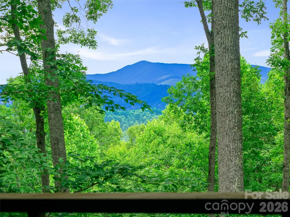 71 Chestnut Hill Road Spruce Pine, NC 28777