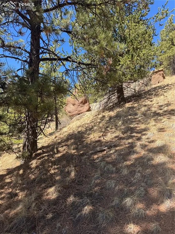 288 Troy Drive Cripple Creek, CO 80813