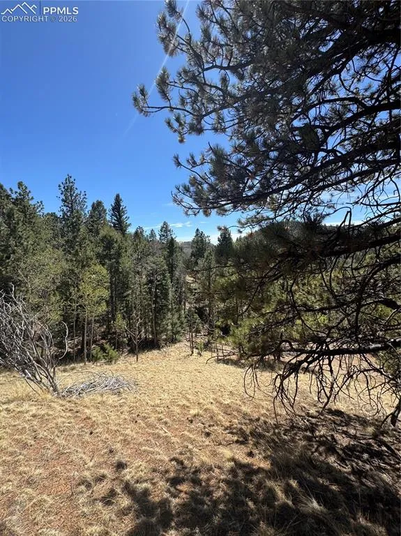 288 Troy Drive Cripple Creek, CO 80813