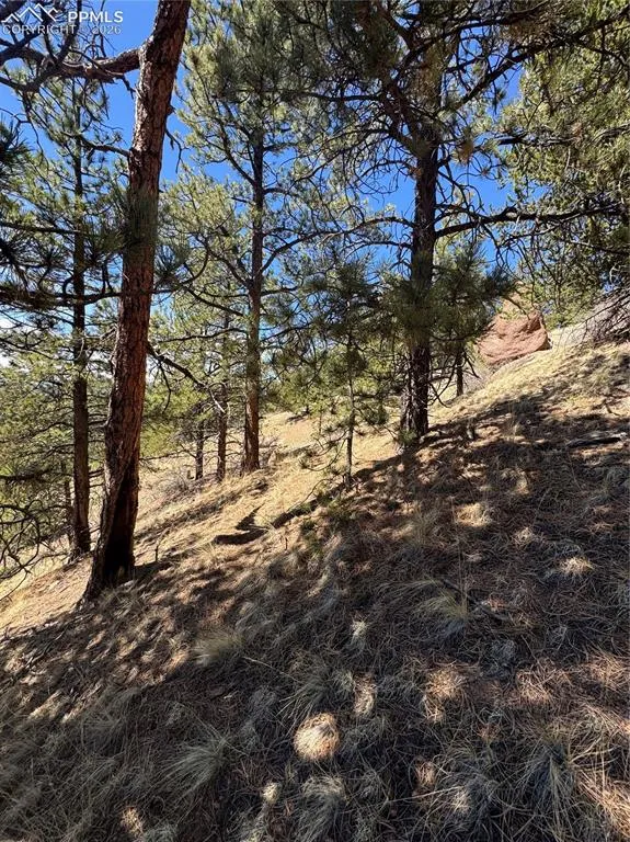 288 Troy Drive Cripple Creek, CO 80813