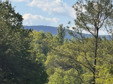 Lot 2 Grassy Creek Road