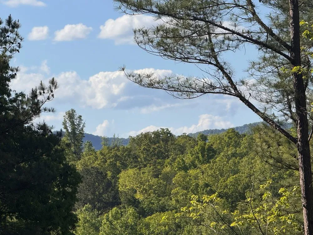Lot 2 Grassy Creek Road Copperhill, TN 37317