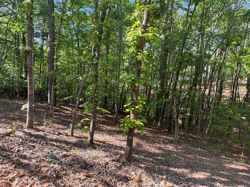 Lot 2 Grassy Creek Road Copperhill, TN 37317