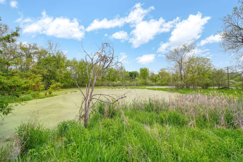 5280 Jefferson Road Clarklake, MI 49234