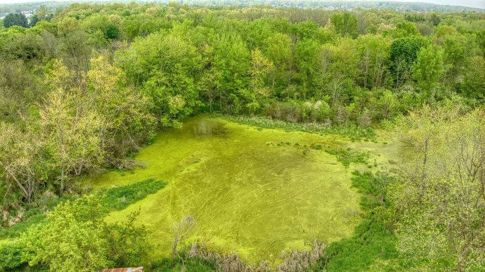 5280 Jefferson Road Clarklake, MI 49234