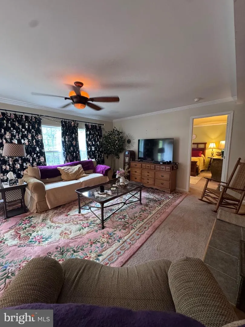 155 FOXDALE LANE Maysville, WV 26833