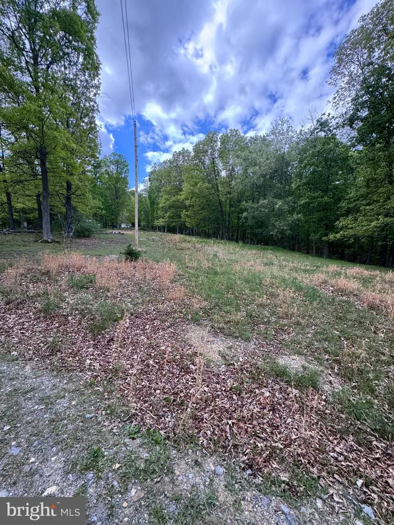155 FOXDALE LANE Maysville, WV 26833