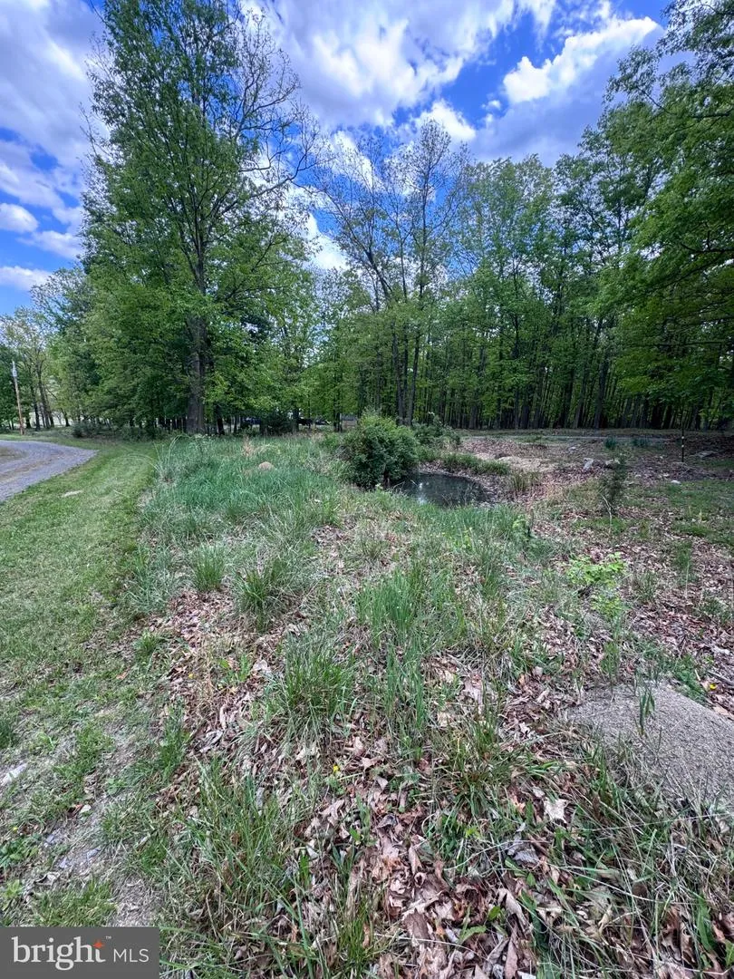 155 FOXDALE LANE Maysville, WV 26833