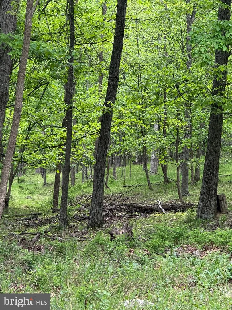 155 FOXDALE LANE Maysville, WV 26833