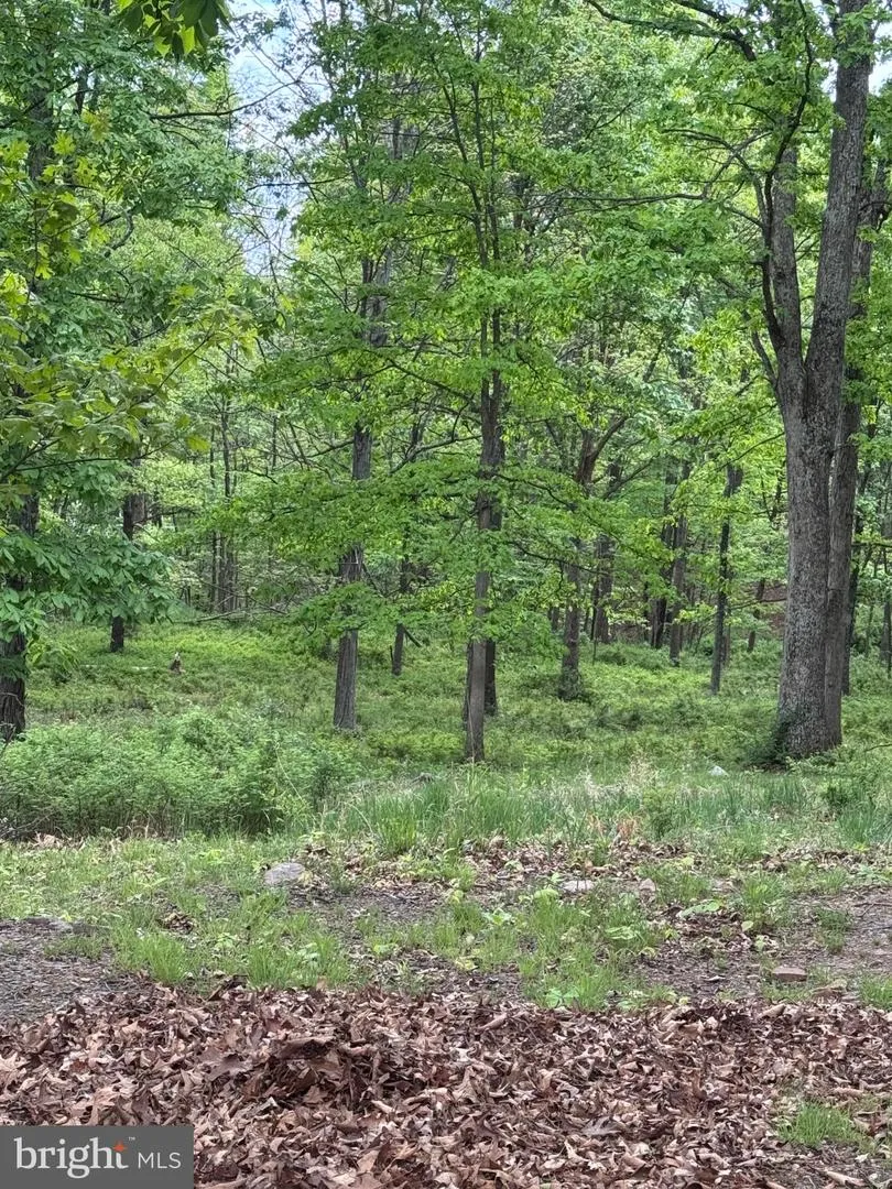 155 FOXDALE LANE Maysville, WV 26833