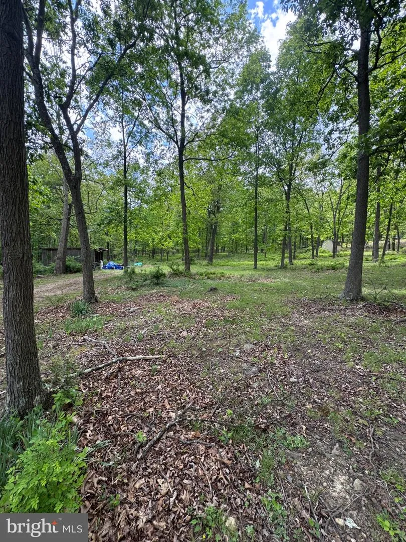 155 FOXDALE LANE Maysville, WV 26833