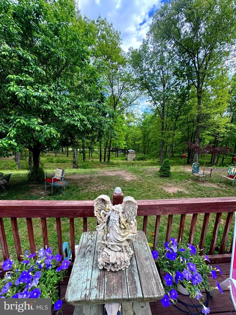 155 FOXDALE LANE Maysville, WV 26833