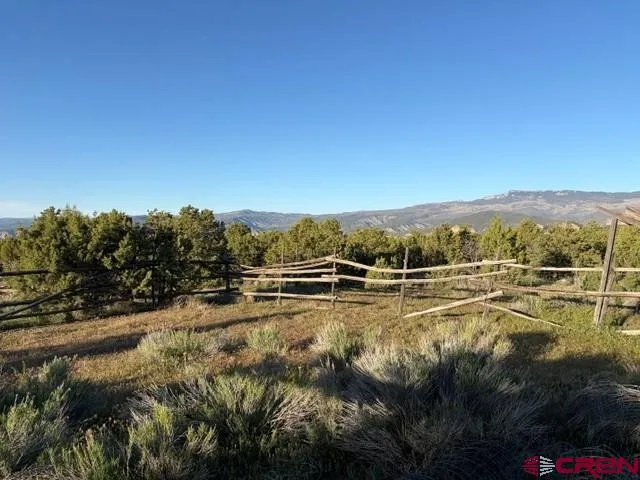 215 County Road 22A Montrose, CO 81403