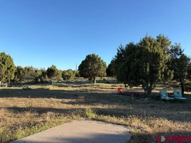 215 County Road 22A Montrose, CO 81403