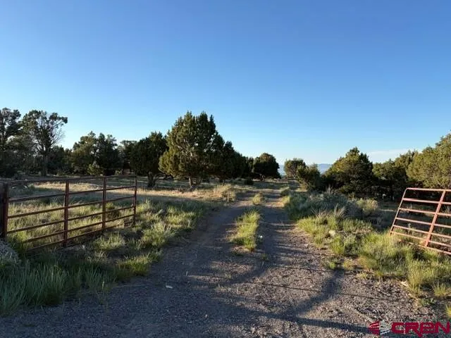 215 County Road 22A Montrose, CO 81403