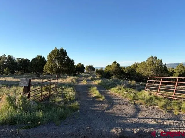 215 County Road 22A Montrose, CO 81403