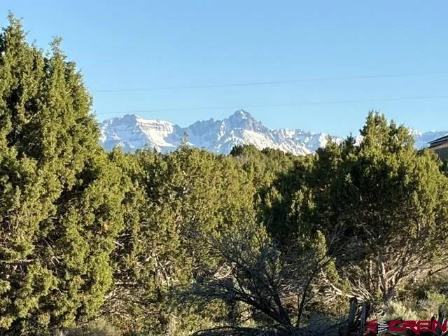 215 County Road 22A Montrose, CO 81403