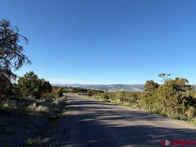 215 County Road 22A Montrose, CO 81403