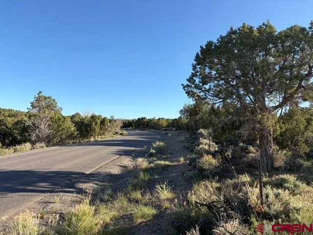 215 County Road 22A Montrose, CO 81403