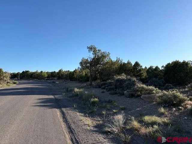 215 County Road 22A Montrose, CO 81403