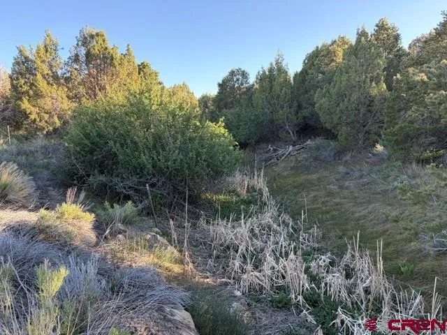 215 County Road 22A Montrose, CO 81403