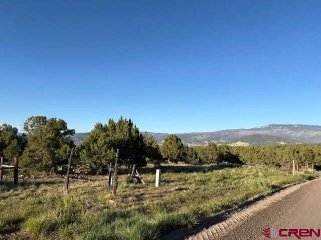 215 County Road 22A Montrose, CO 81403