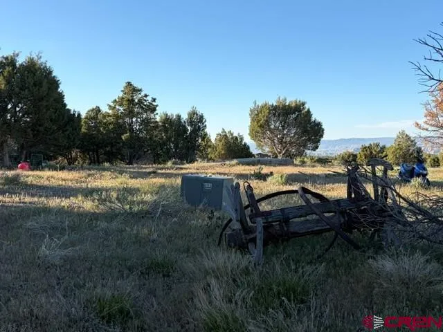 215 County Road 22A Montrose, CO 81403