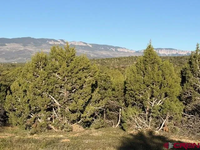 215 County Road 22A Montrose, CO 81403
