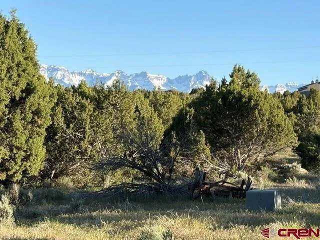 215 County Road 22A Montrose, CO 81403
