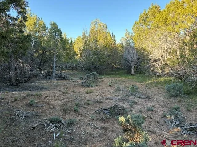 215 County Road 22A Montrose, CO 81403