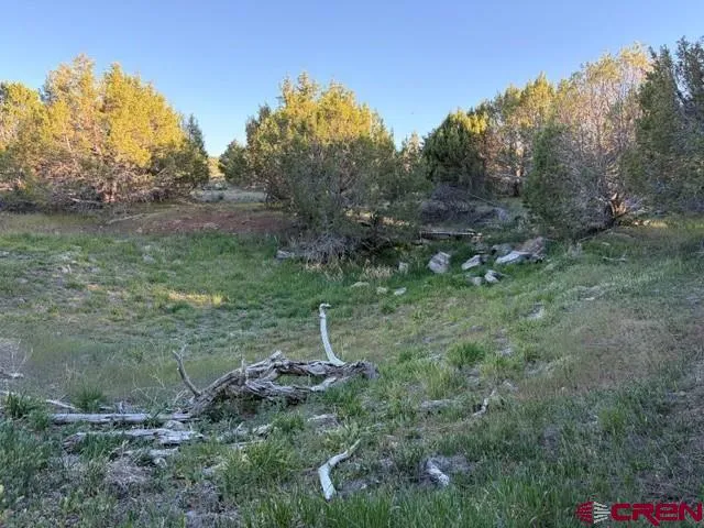 215 County Road 22A Montrose, CO 81403