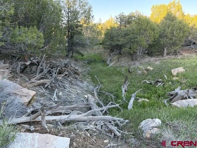 215 County Road 22A Montrose, CO 81403
