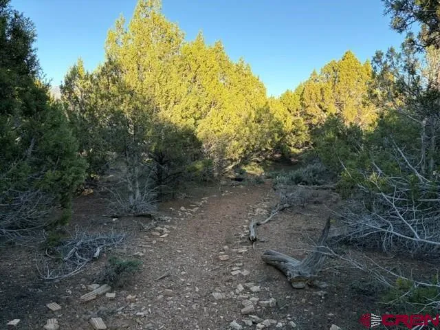 215 County Road 22A Montrose, CO 81403