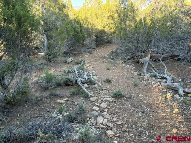 215 County Road 22A Montrose, CO 81403