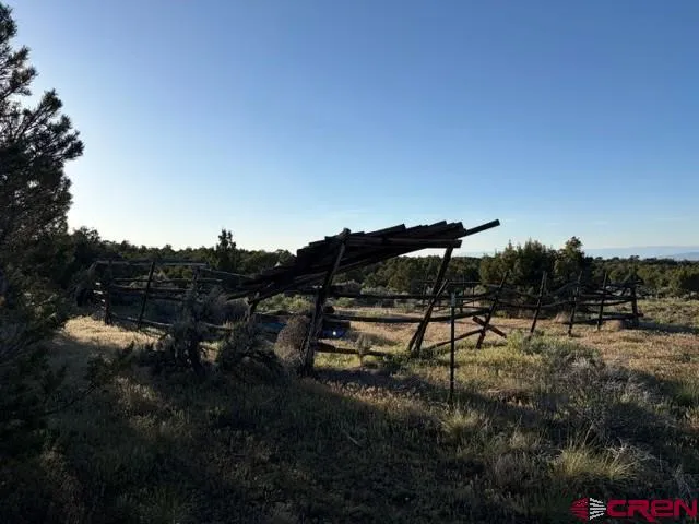 215 County Road 22A Montrose, CO 81403