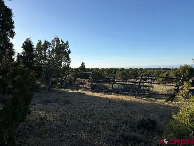 215 County Road 22A Montrose, CO 81403