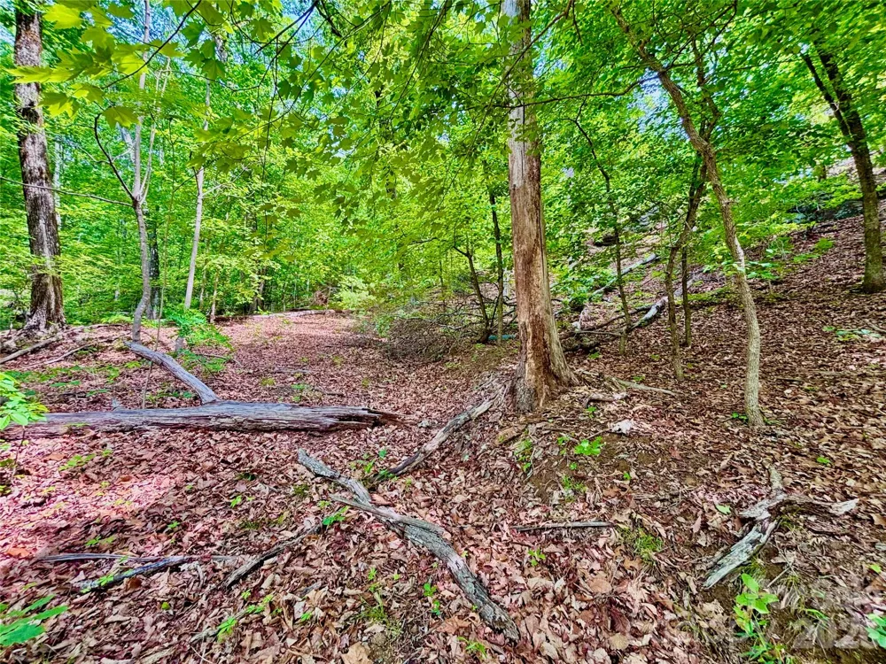 350 Springvalley Drive Rutherfordton, NC 28139