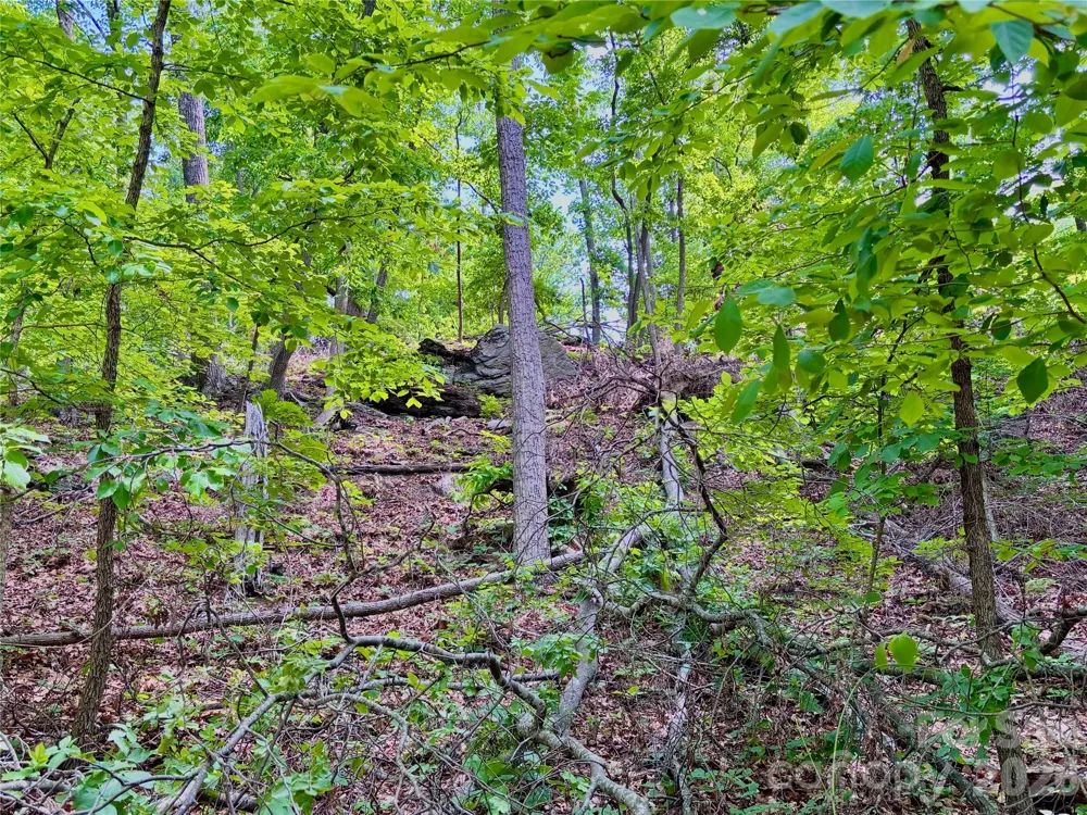 350 Springvalley Drive Rutherfordton, NC 28139