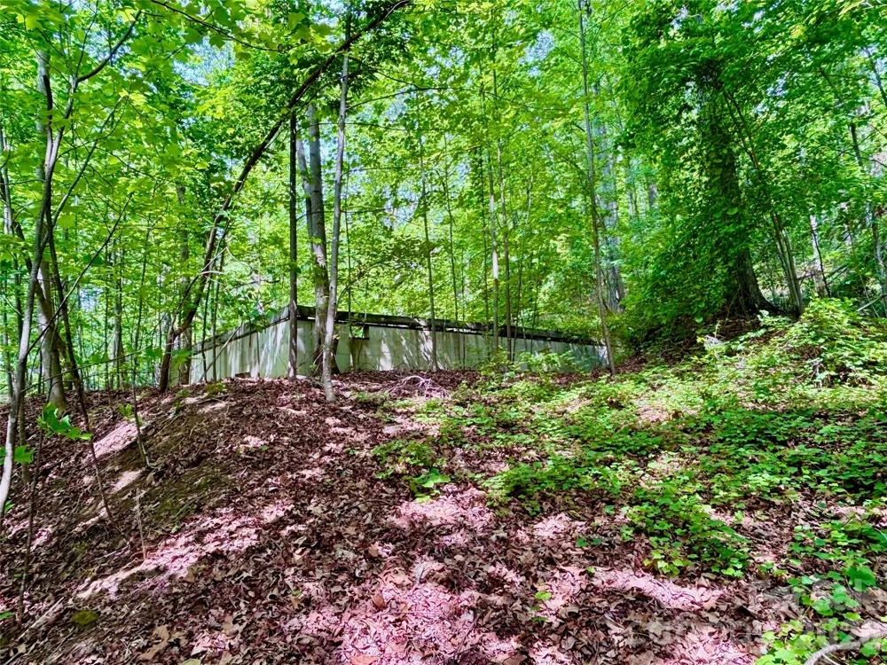 350 Springvalley Drive Rutherfordton, NC 28139