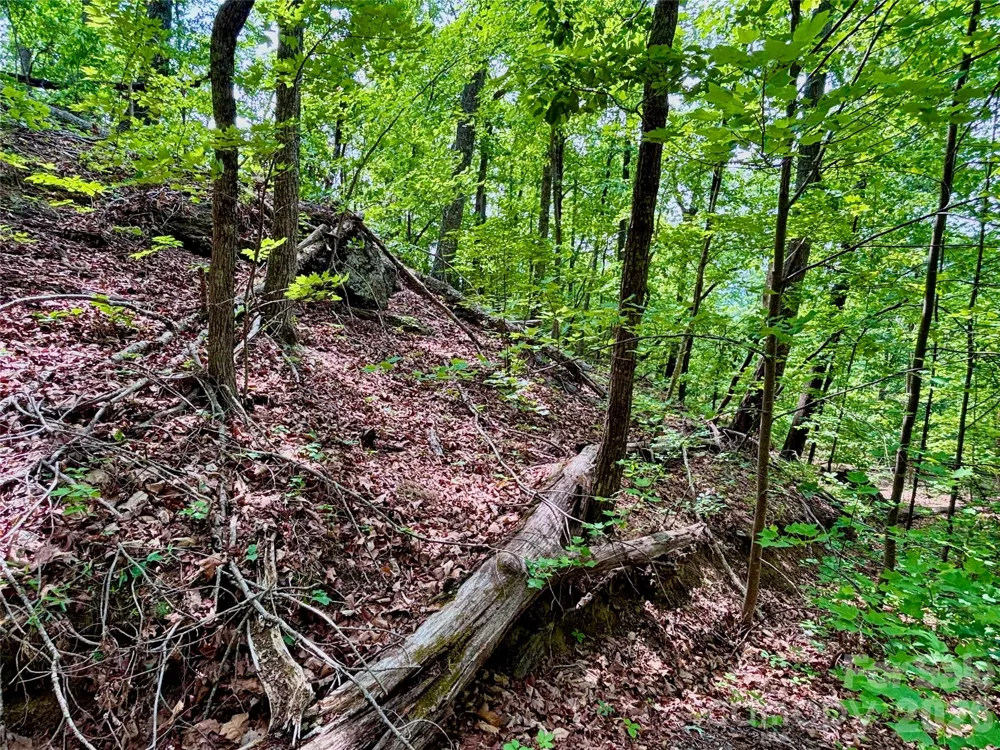 350 Springvalley Drive Rutherfordton, NC 28139