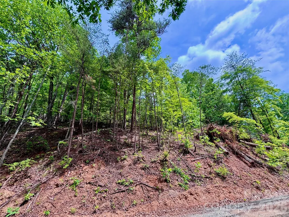 350 Springvalley Drive Rutherfordton, NC 28139