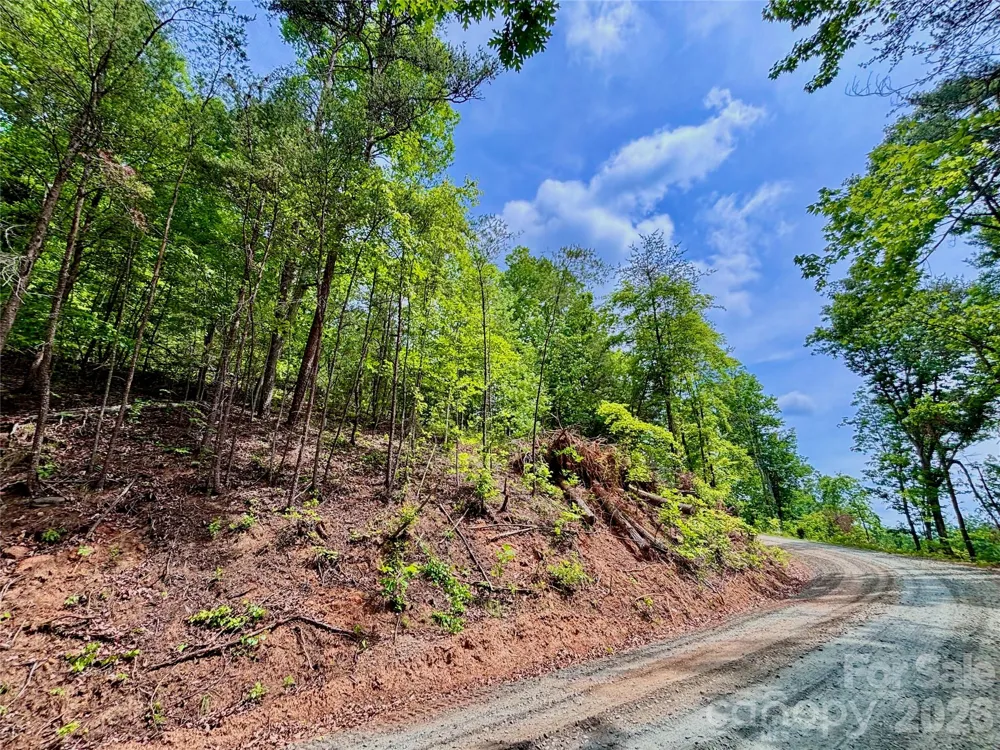 350 Springvalley Drive Rutherfordton, NC 28139