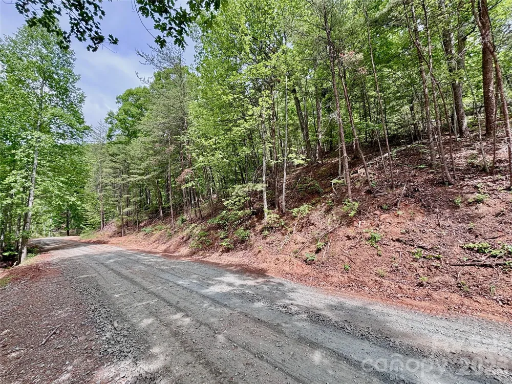 350 Springvalley Drive Rutherfordton, NC 28139