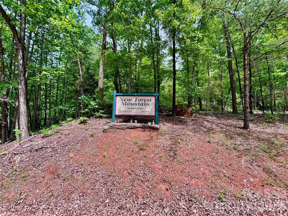 350 Springvalley Drive Rutherfordton, NC 28139