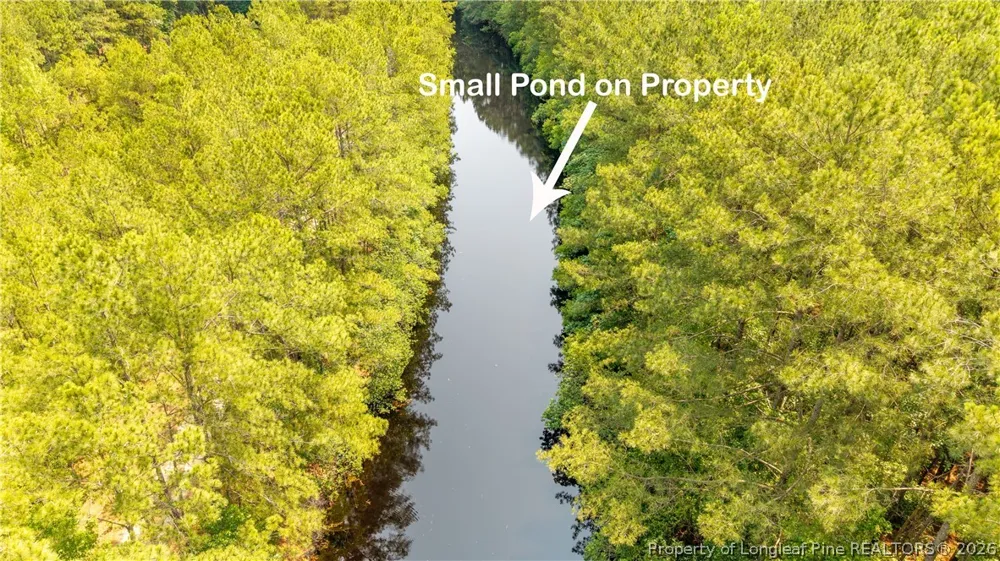 Big Piney Grove Road Clinton, NC 28328