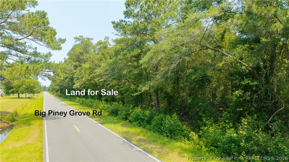 Big Piney Grove Road Clinton, NC 28328
