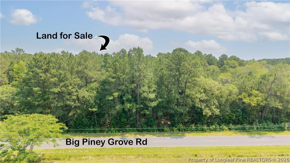 Big Piney Grove Road Clinton, NC 28328