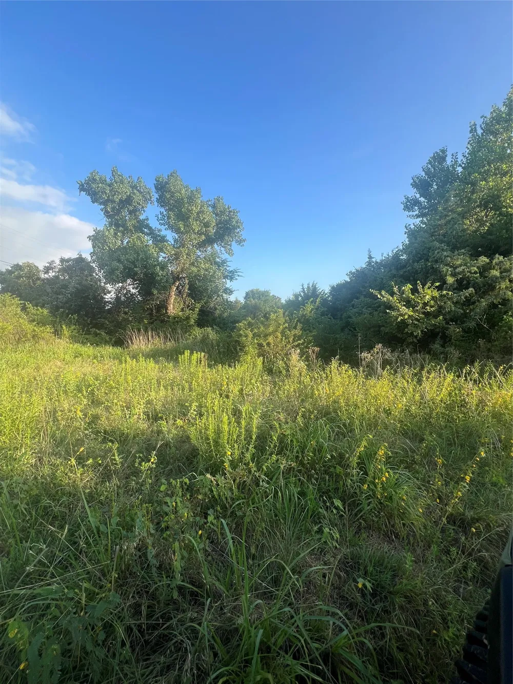 5549 S Fm 730 Decatur, TX 76234