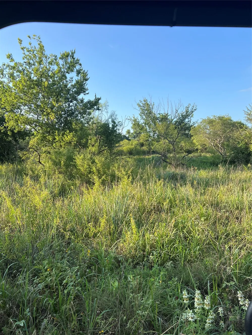 5549 S Fm 730 Decatur, TX 76234